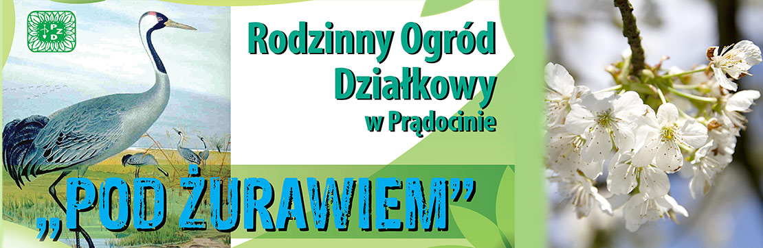 Rodzinny Ogród Działkowy Pod Żurawiem Prądocin